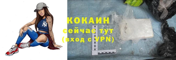 прущий лед Арсеньев