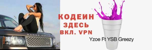 прущий лед Арсеньев