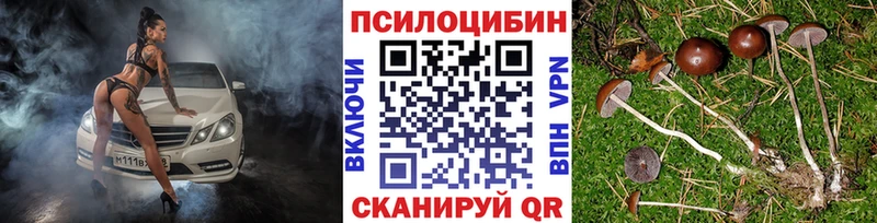 ОМГ ОМГ как зайти  наркотики  Сковородино  Псилоцибиновые грибы мицелий 