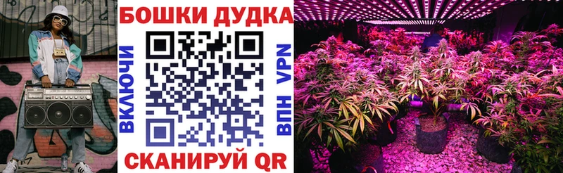 даркнет сайт  Сковородино  Бошки марихуана планчик 